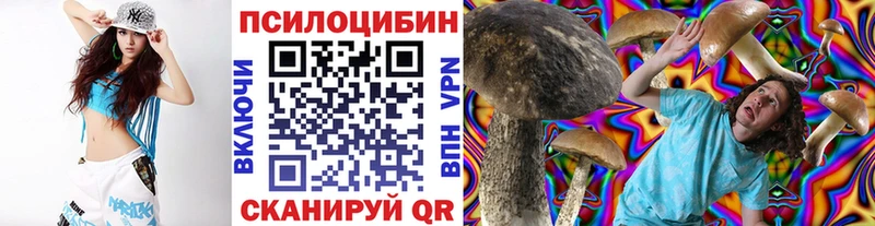 Галлюциногенные грибы MAGIC MUSHROOMS  закладки  Ядрин 